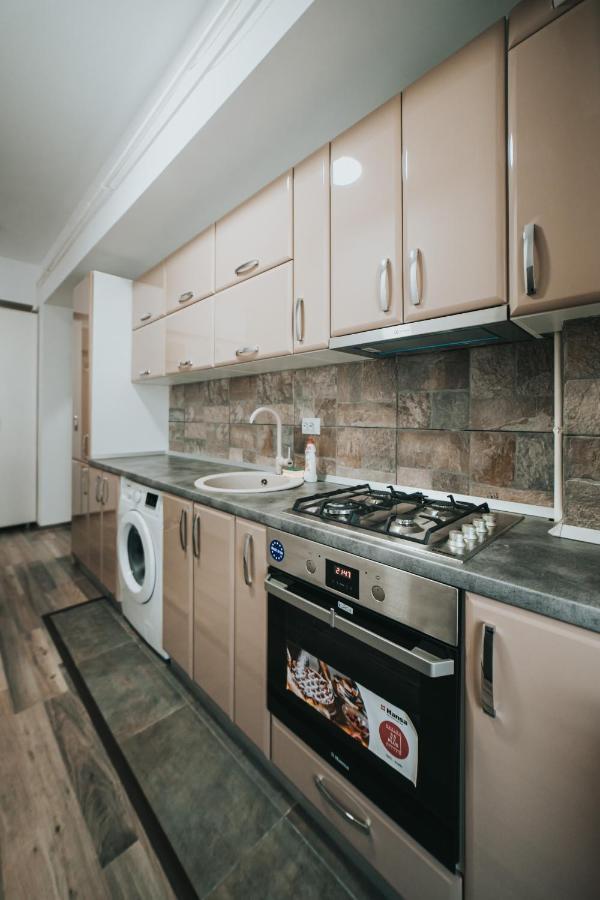 Apartmán Cozy Studio - Palas Mall Iasi Exteriér fotografie